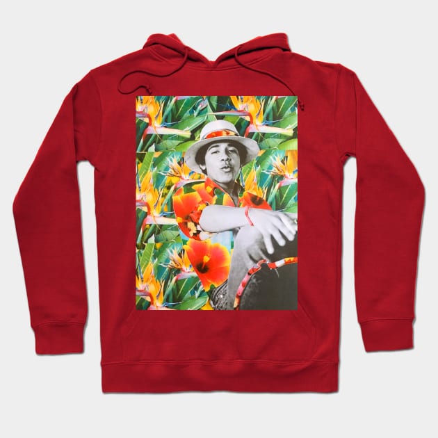 Too Tropical for America Hoodie by austyndelugoart